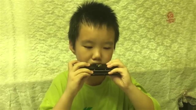 77.唐老伯有个小农场