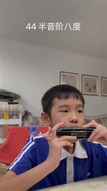 半音阶八度