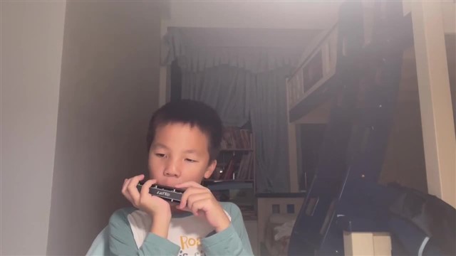 萱草花1128
