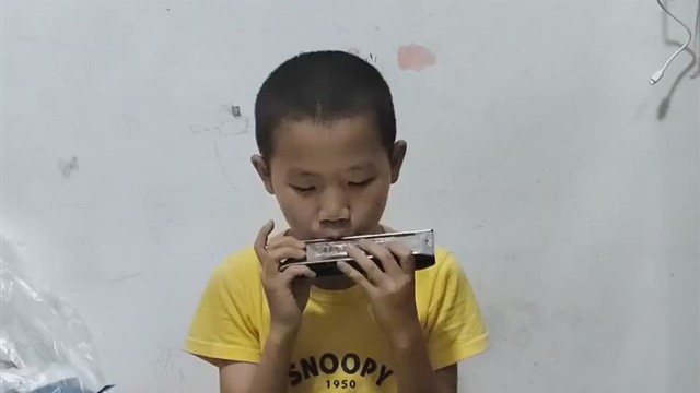 大板城(100)