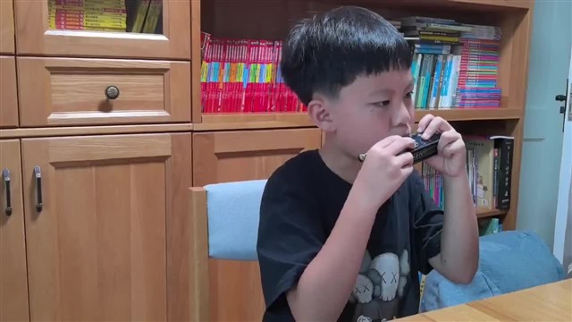 40.雁群飞