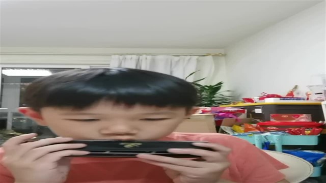 20鲤鱼风筝