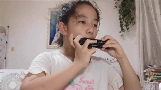 67.红蜻蜓