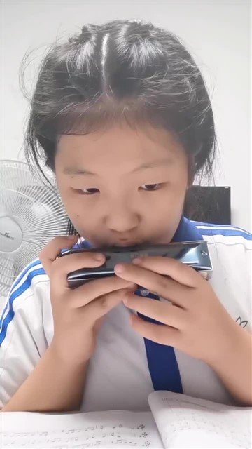79欢乐颂