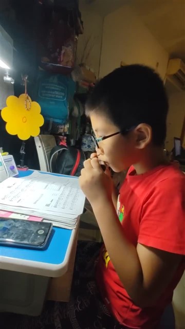雁群飞