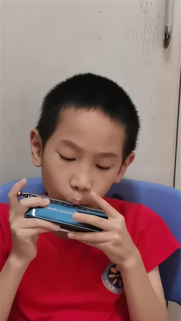 VID_20240608_141152