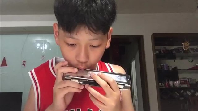 164.匈牙利舞曲第五号