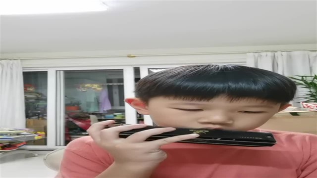 58茉莉花