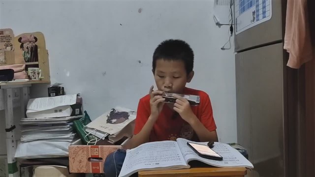 46.雪绒花