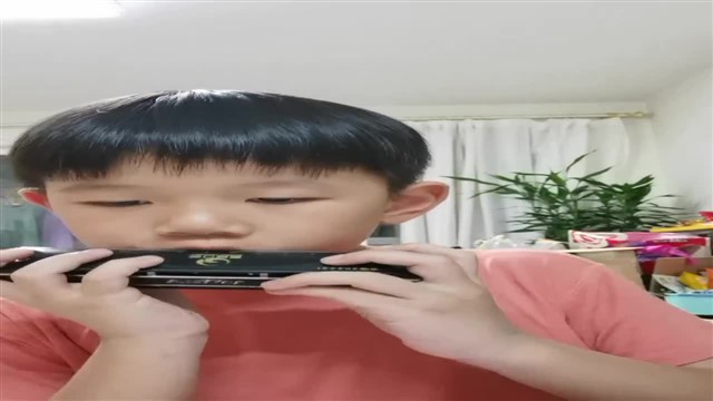 21国旗国旗真美丽