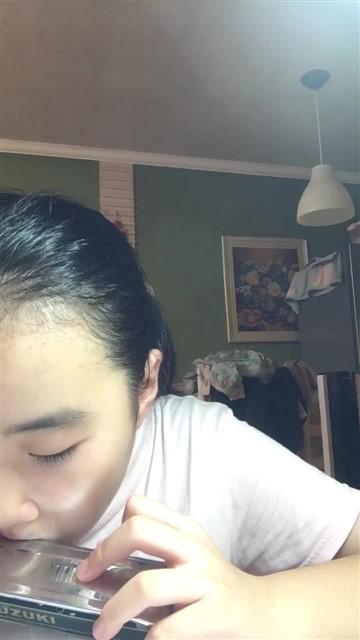 73.小酸梅果