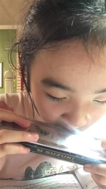 149.绿袖子