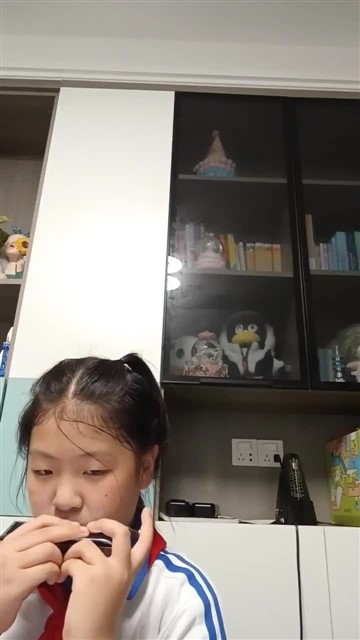 34C大调半音阶练习