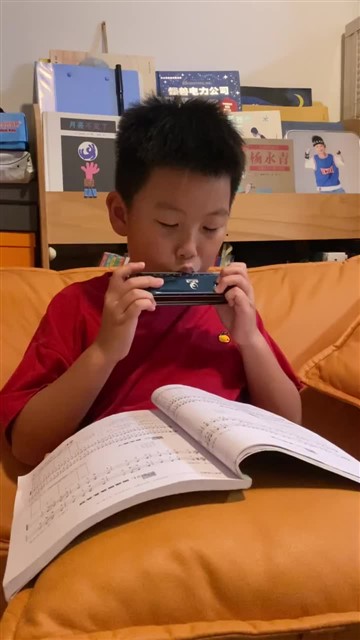20.鲤鱼风筝