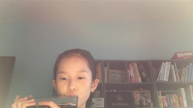 35.新大陆交响曲主题