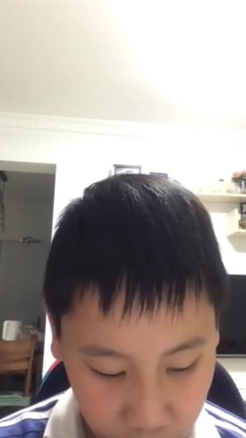 20. 鲤鱼风筝