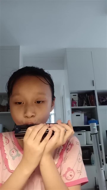149.绿袖子2
