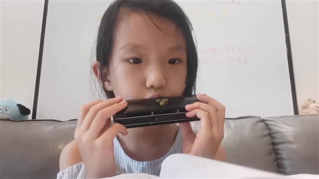 91.水调歌头.但愿人长久