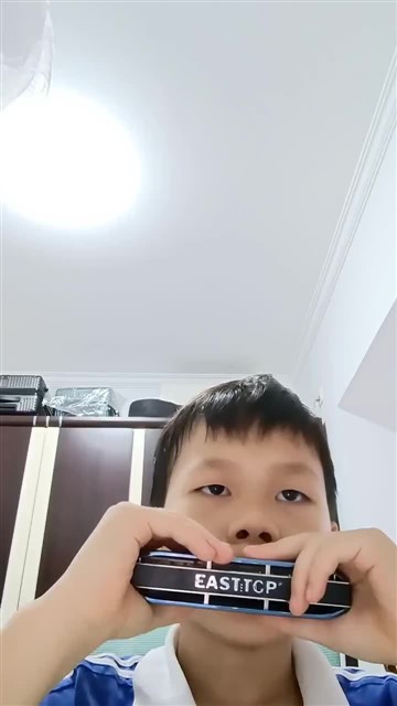 雁群飞