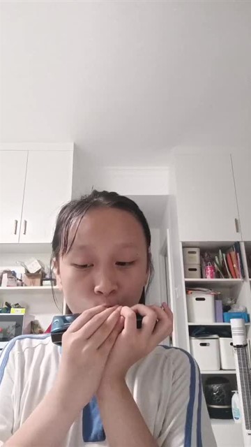 40.雁群飞