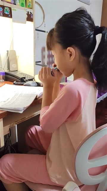 20.鲤鱼风筝