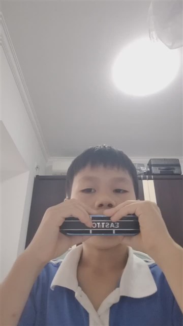 鲤鱼风筝