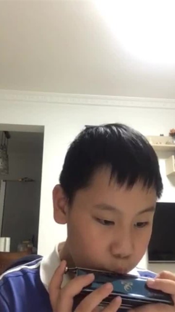 40. 雁群飞