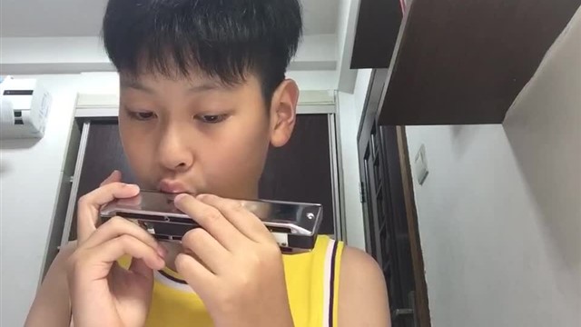 164.匈牙利舞曲第五号