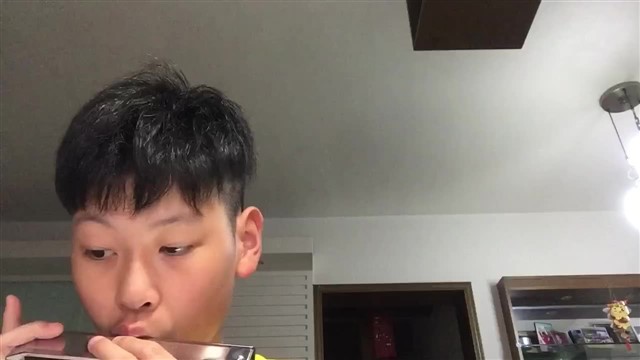 115.茉莉花（2）
