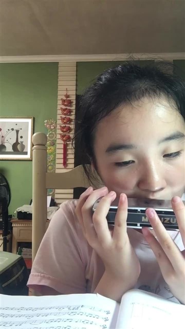 91.水调歌头·但愿人长久