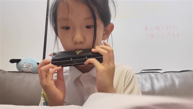 78.稻草里的火鸡
