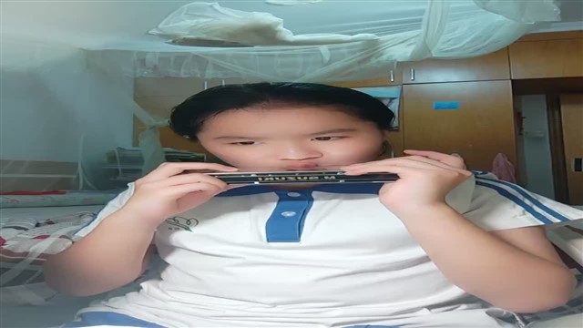 67红蜻蜓