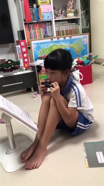 我和提琴