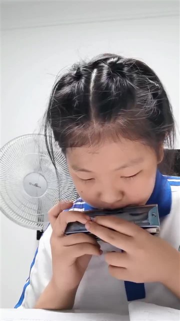 73小酸梅果