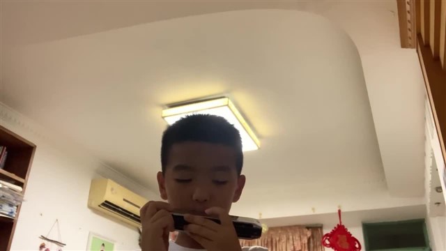 雪绒花二声部