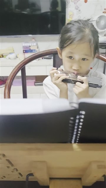 VID_20240801_210551雪绒花