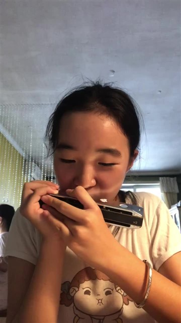 170.土耳其进行曲片段