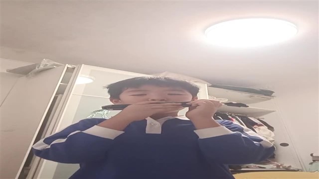 一个八度半音阶（中音组）