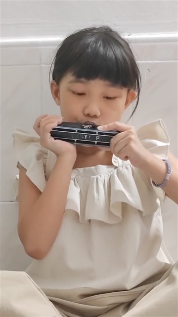 16.小毛驴