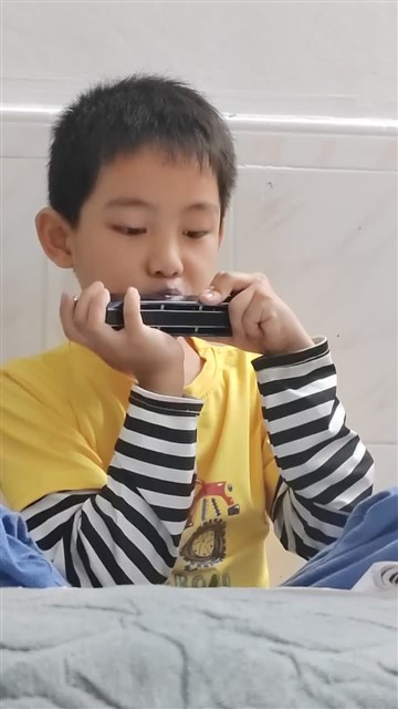 16.小毛驴