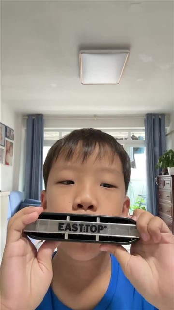 小毛驴