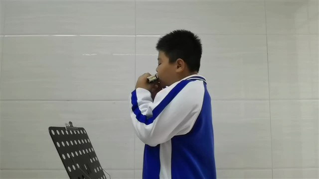 20241125 221.#12#12（39个）