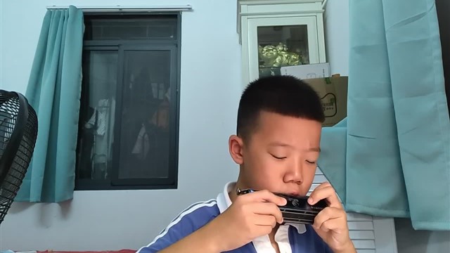 VID_20241114_181654
