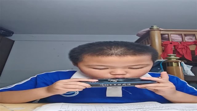 小毛驴