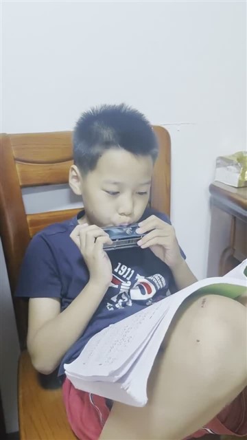16.小毛驴