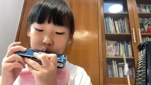 16.小毛驴