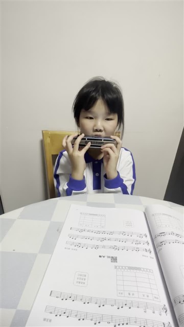 1119玛丽有只小羊羔