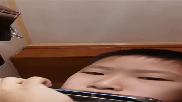 VID_20241215_105600