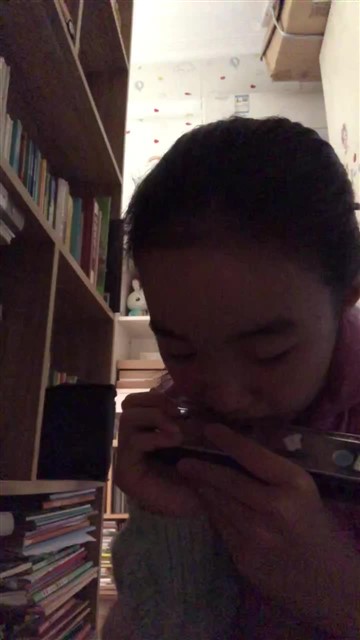 217.喜洋洋二声部