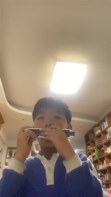 海顿小夜曲